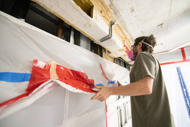 Best Black Mold Removal  in Woodmere, NY